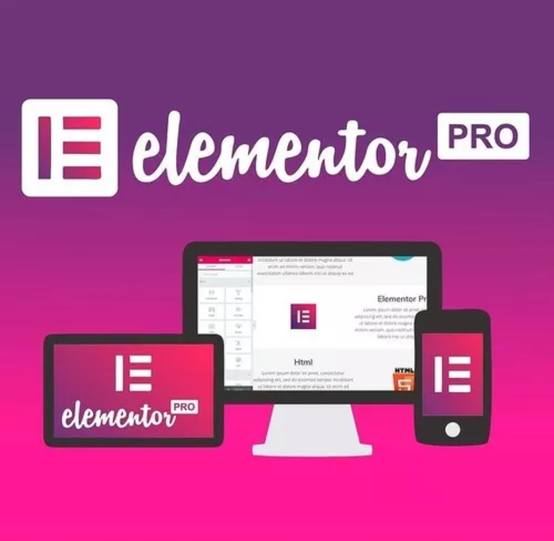 PROMOÇÃO Elementor PRO Plugin Wordpress Vitalícia